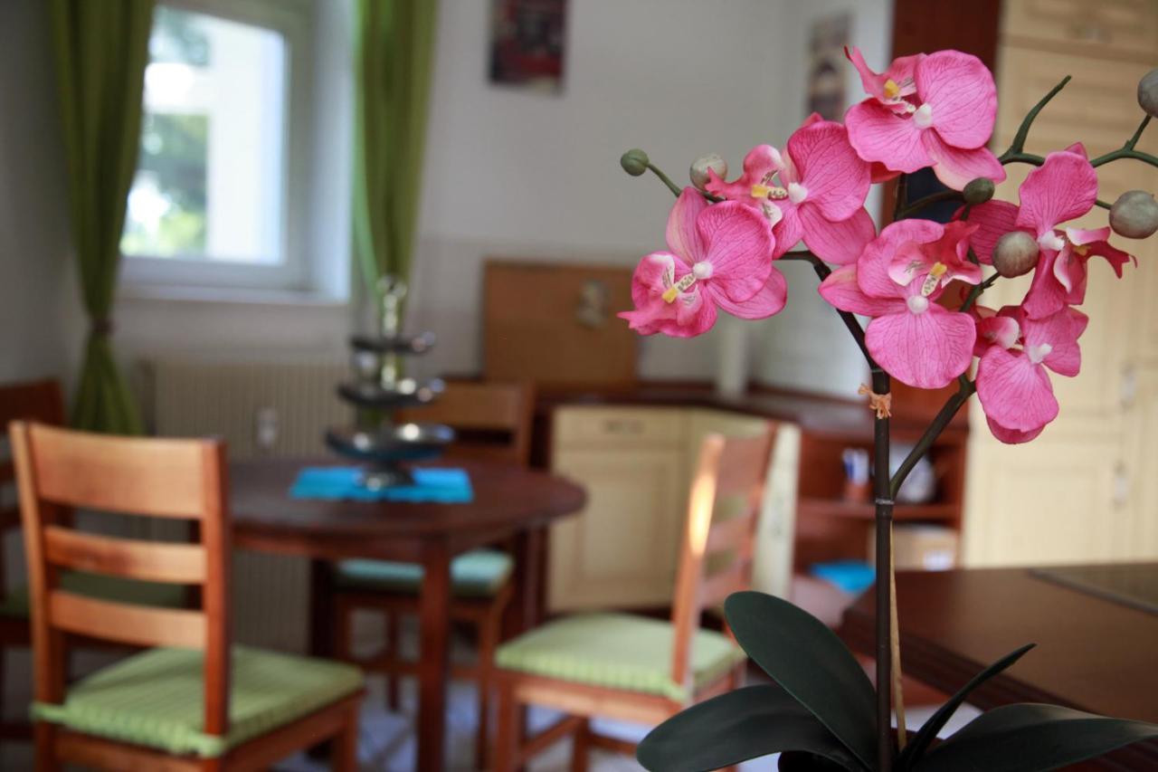 Apartment Gohliser Stadtwohnung *